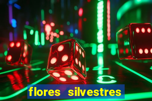 flores silvestres desbravadores desbravadores 25